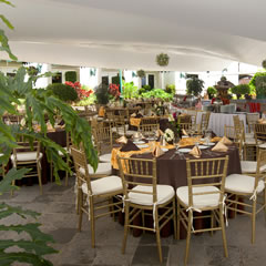 Hotel Fiesta Americana Aguascalientes Hotel Dining Carousel
