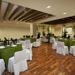 Hotel Fiesta Americana Aguascalientes Hotel Reuniones y Eventos Carousel