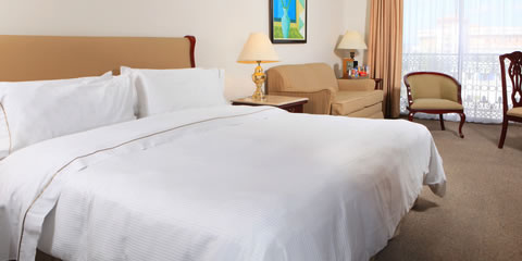 Hotel Fiesta Americana Aguascalientes Hotel Standard Room, 1 king Room