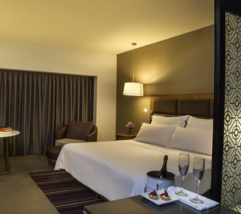 Executive Room, 1 King