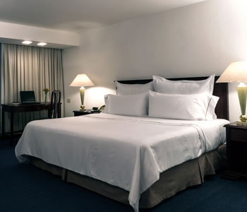 Superior Room, 1 king
