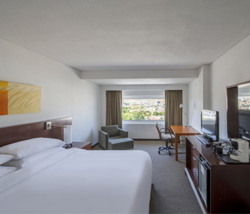 Deluxe Room, 1 king