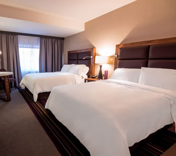 Executive Room, 2 Double