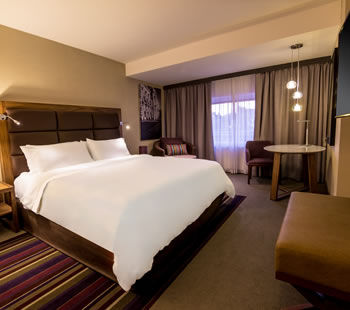 Executive Room, 1 King
