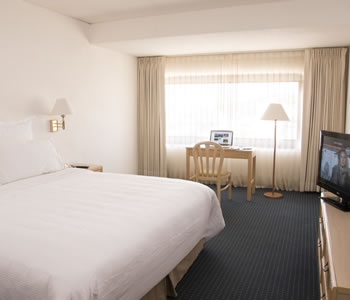 Superior Room, 1 king