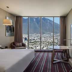 Deluxe Room, 1 King