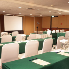 Hotel Fiesta Americana Reforma Hotel Reuniones y eventos Carousel