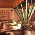 Hotel Fiesta Americana Puerto Vallarta Hotel Dining Restaurant La Hacienda