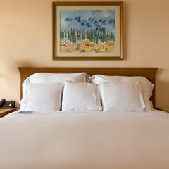 Hotel Fiesta Americana Puerto Vallarta Hotel Rooms Carousel