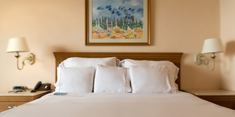 Hotel Fiesta Americana Puerto Vallarta Hotel Deluxe Room, 1 king, Ocean front Room