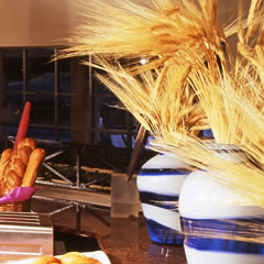 Hotel Fiesta Americana Condesa Cancún All Inclusive Hotel Dining Carousel