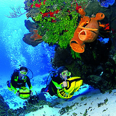 Hotel Fiesta Americana Cozumel All Inclusive Resort Activities Carousel