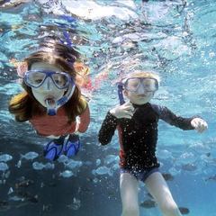 Hotel Fiesta Americana Cozumel All Inclusive Resort Fiesta Kids Carousel
