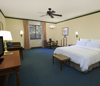 Junior Suite, 1 king
