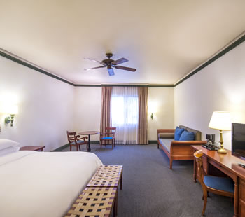 Superior Room, 1 king