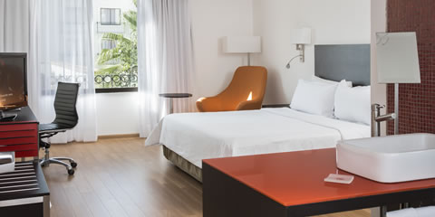 Hotel Fiesta Inn Reynosa Superior Room, 1 king Room