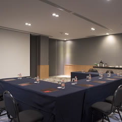 Hotel Fiesta Inn Puerto Vallarta Isla Informacion General Meeting Room Salas y salones de juntas