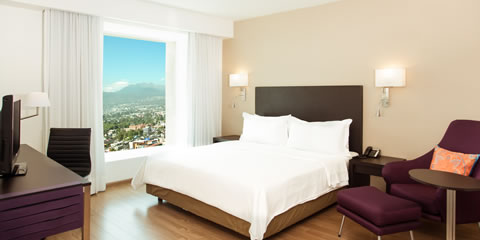 Hotel Fiesta Inn Periferico Sur Habitaciones Carousel