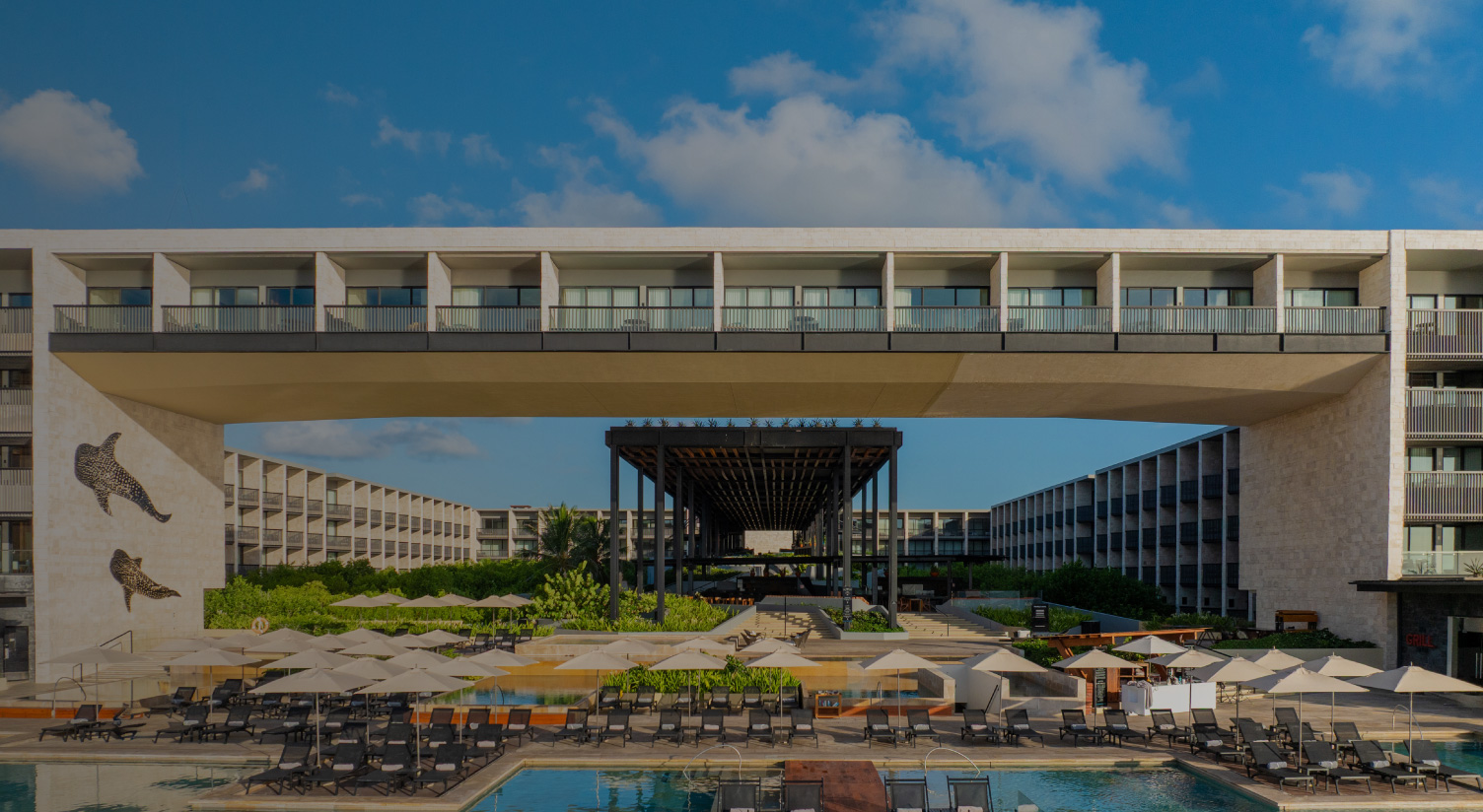 VIVE DEVOSSION BY LIVE AQUA PLAYA DEL CARMEN