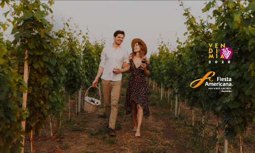 VINOS, GASTRONOMÍA Y MUCHO MÁS¿